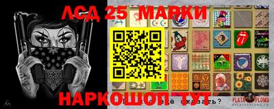шишки Аргун