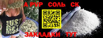 шишки Аргун