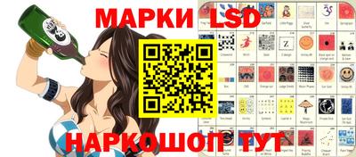 шишки Аргун