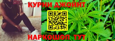 шишки Аргун