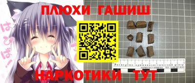 шишки Аргун